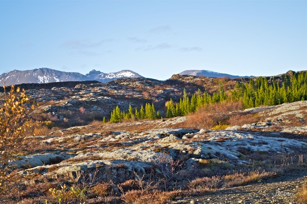 Thingvellir in theyr best !