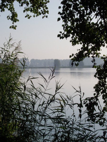 Early Morning Holland