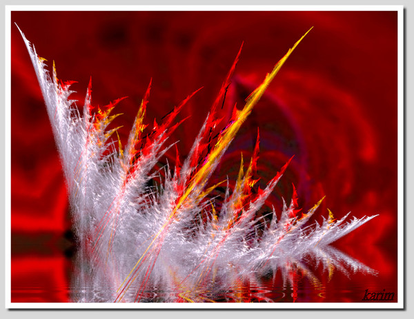  ice flower
