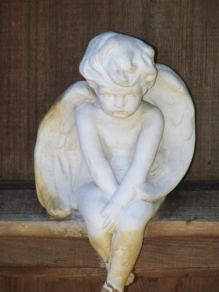 Guardian