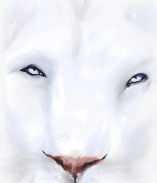 white lion