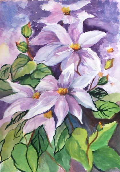 CLEMATIS