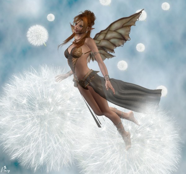 Dandelion