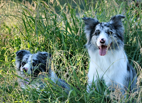 Fanny and Abigail Portrait 1