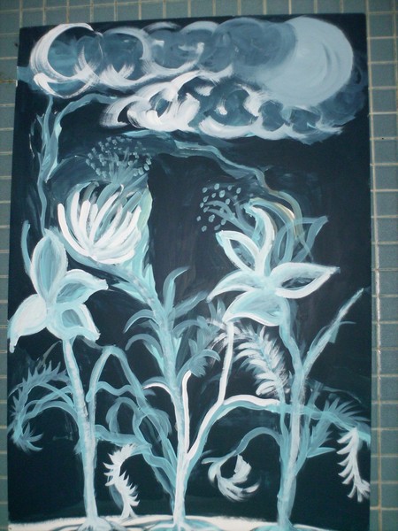 Midnight Flower