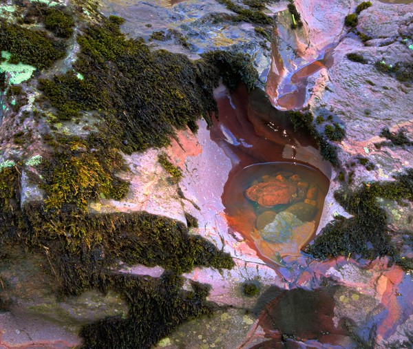 Rock Pool
