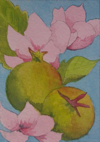 Apple Blossom