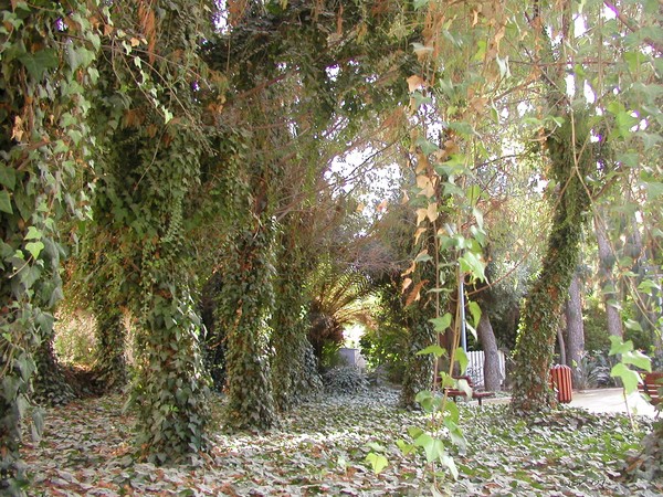 Hints of autumn