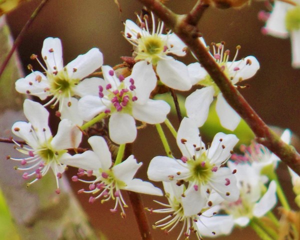 Sure is spring !