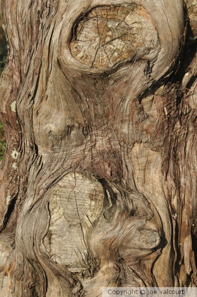 woodtext