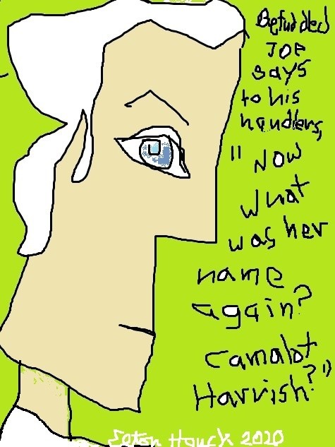 befuddled joe....(c) 2020 elton houck..digital... Joe the mind is a terrible thing to loose Art