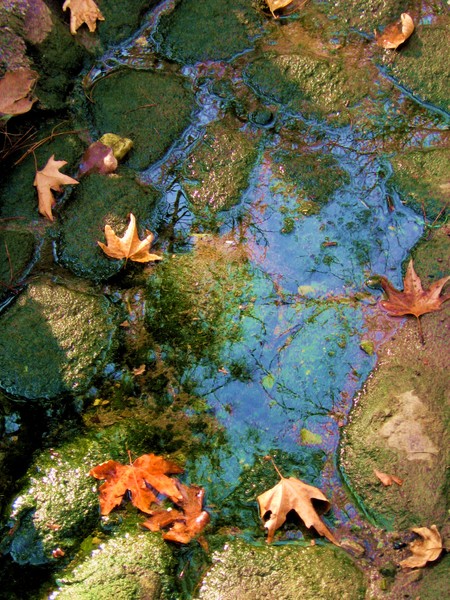 nature and color