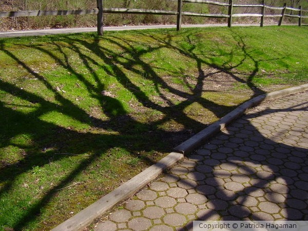 Shadow Dancing