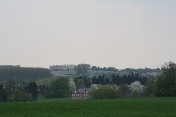 Blossom Time