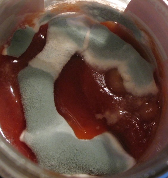 Christmas Sauce