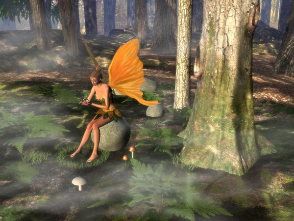 Fairy