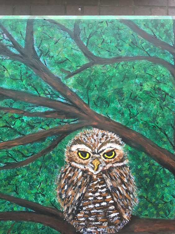 Owl Wisdom Table