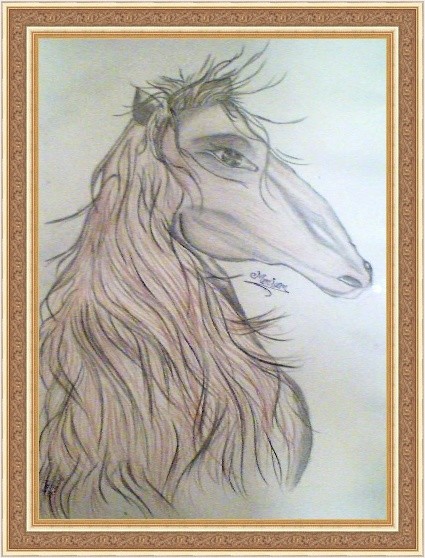 Horse...