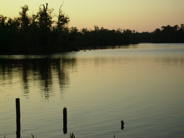 peaceful delta