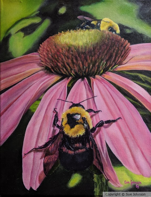 JUST BEE-CAUSE