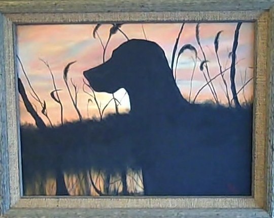 Sunset Sillouette