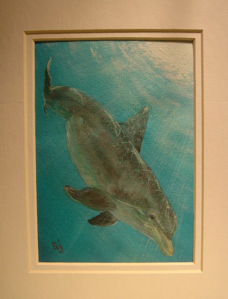 diving dolphin