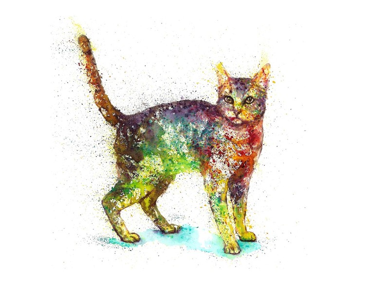 Cat Fantasy