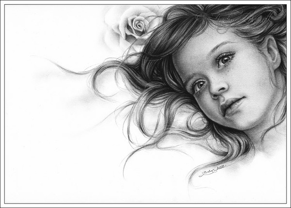 Winter Rose