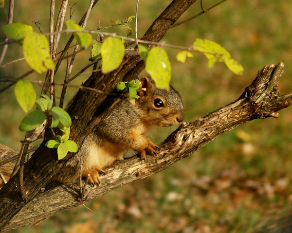 Hiding!