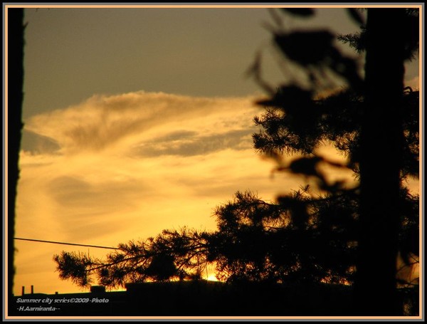 ..silhouettes of the city..sunsets