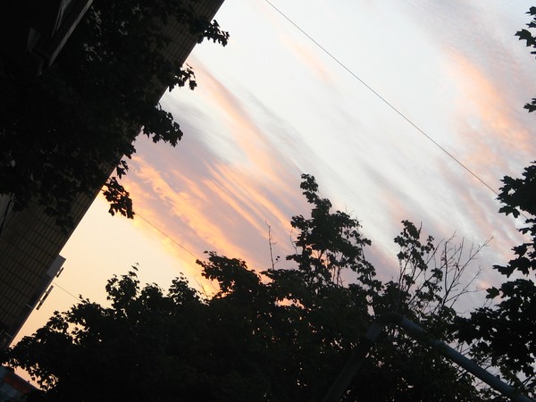 SERIES OF SKY SHOTS 2010