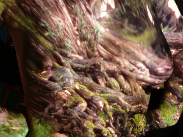 Nature's Body 2