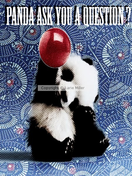panda fun