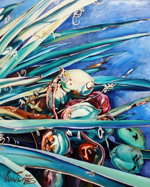 Yucca Fruit