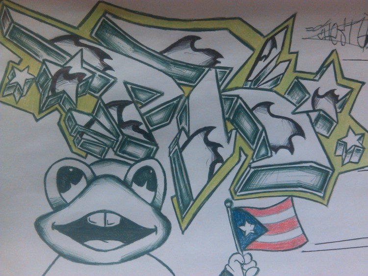 p.r flag frog
