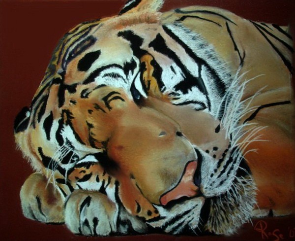 Sleeping Tiger