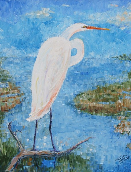 Great White Egret