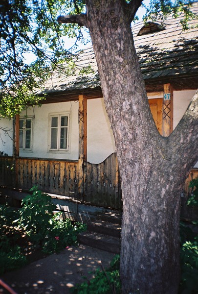 Arbore monastery
