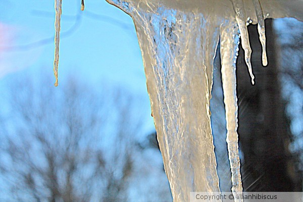 January Ice
