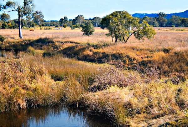 Rural Queensland