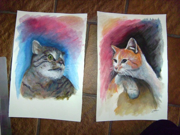 Cats