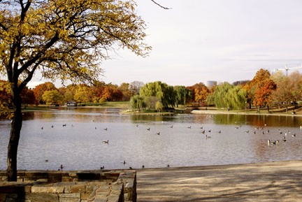 fall colors