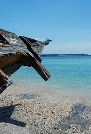 Shipwrecked on a Tropical Island