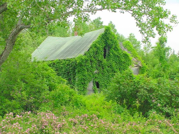 Old Farm House 01