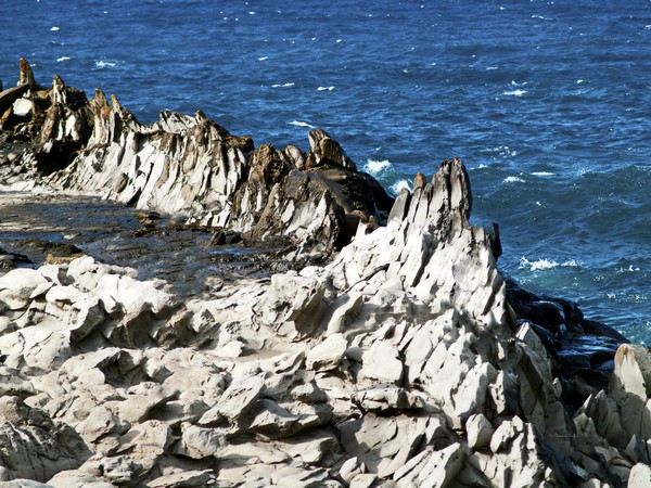 The Dragon's Teeth I