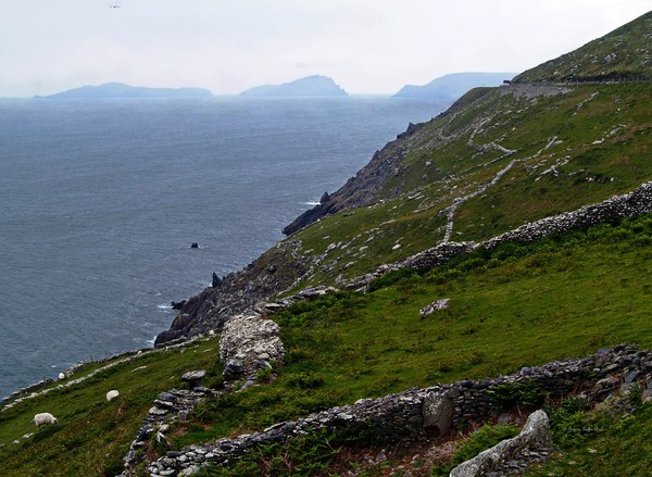 Down to the Sea