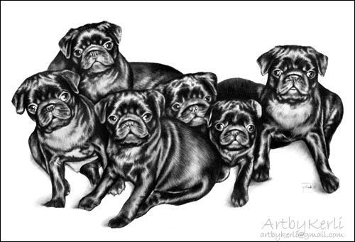 The pug gang