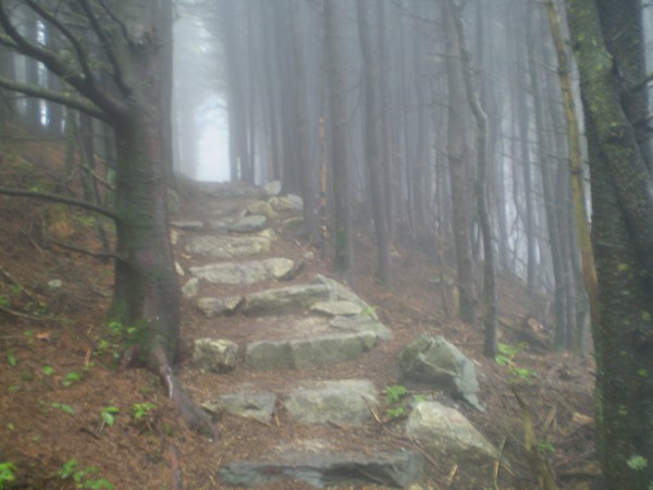 stairway to heaven