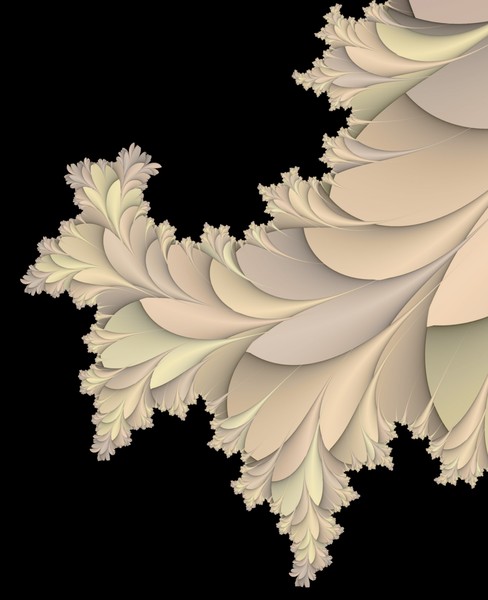 Winter Thorn Bush