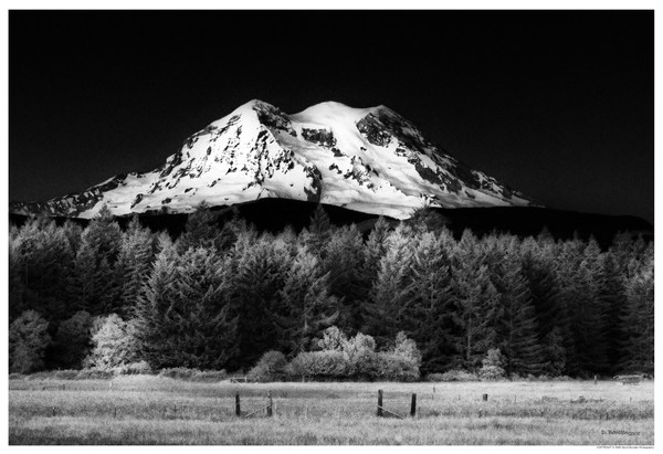Mt Rainer